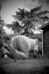 IMG_0942 IMG_0942